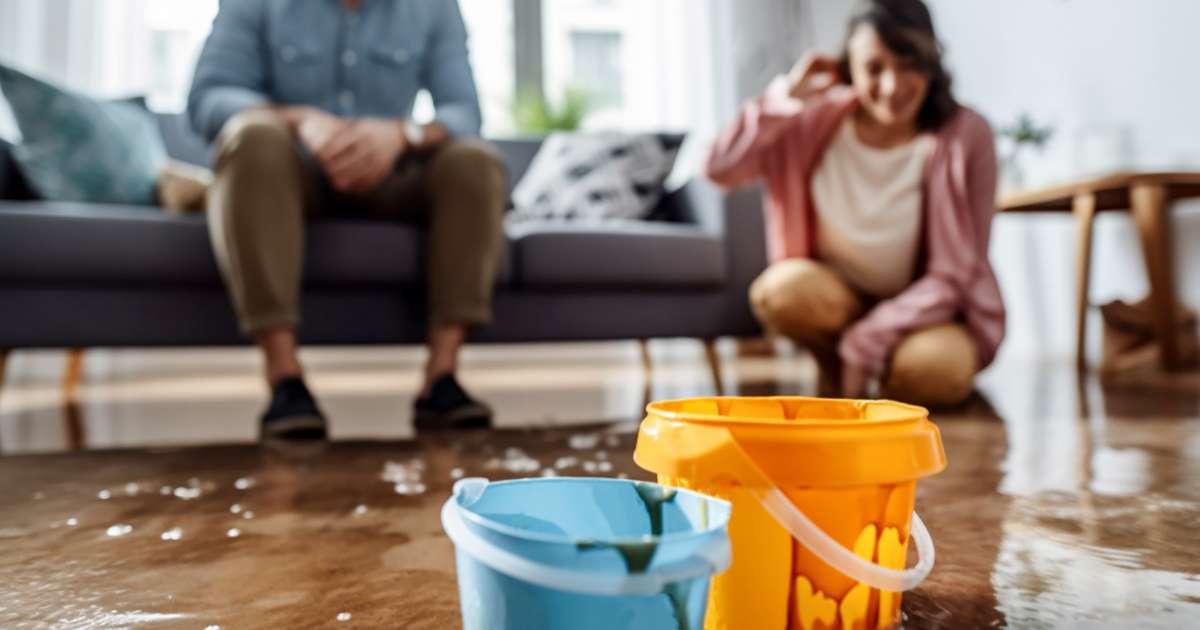 mold and flood damage